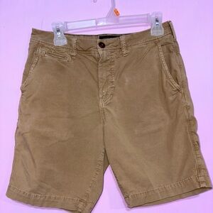 American Eagle Outfitters Tan Flat Front Shorts
